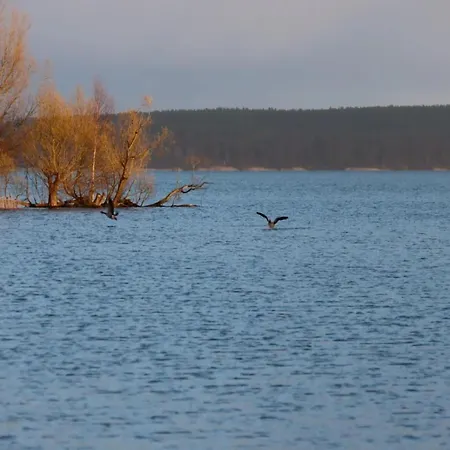 Hafenflair Am Plauer Plau am See